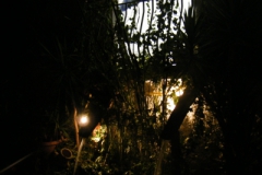 fontane di luce 2012 5