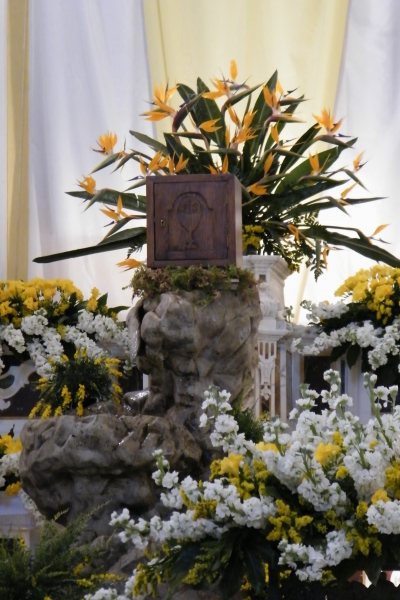 altare reposizione 2015 4