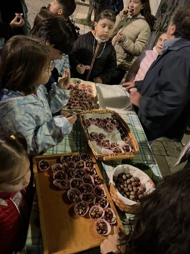 Festa della Vita 2025-29