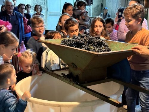 Festa della Vita 2025-44