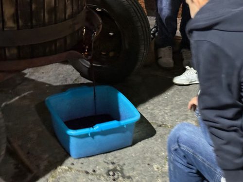 Festa della Vita 2025-45